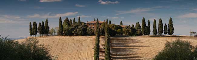 网络电话在线发送